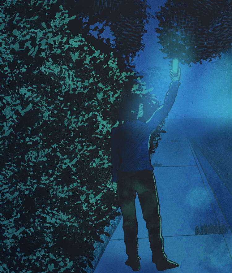 Mothman 11x14 Poster